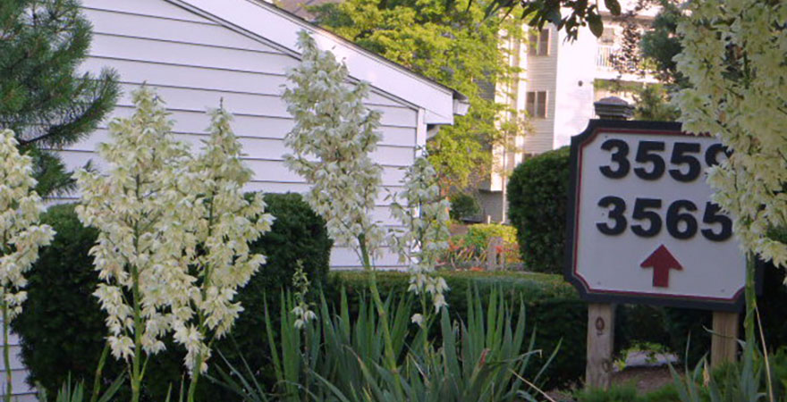 Stunning Manicured Grounds